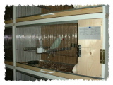 Breeding Cages